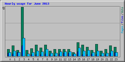 Hourly usage for June 2013